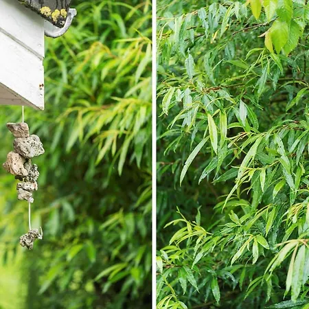 G115-lemvig-myntevej-15 Prázdninový dům Lemvig